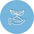 pictograms_1.png